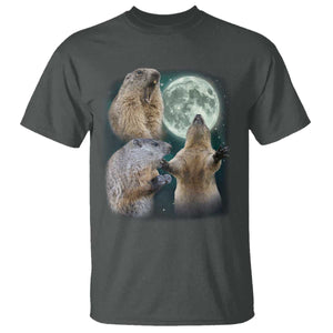 Funny Three Groundhog Moon Groundhog Day Meme T Shirt TS11 Dark Heather Print Your Wear