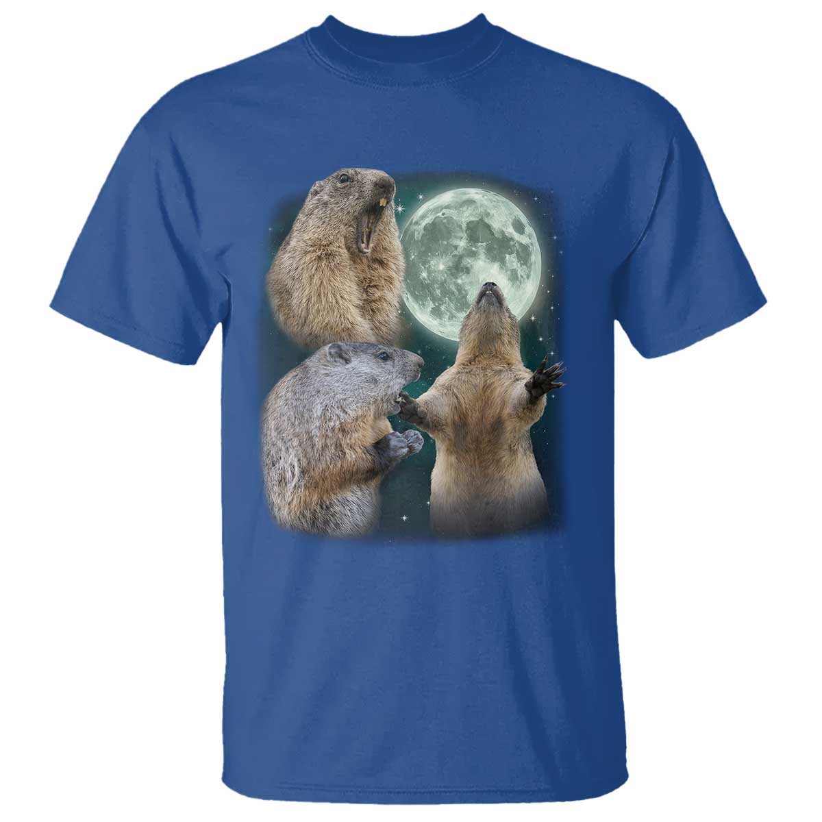 Funny Three Groundhog Moon Groundhog Day Meme T Shirt TS11 Royal Blue Print Your Wear