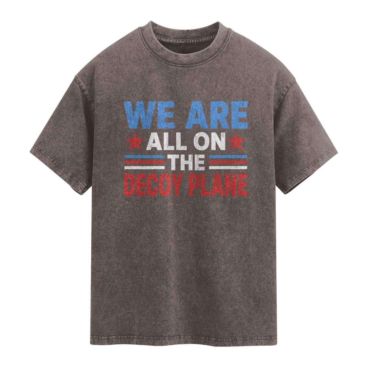 We Are All On The Decoy Plane Washed Cotton T-Shirt Plane Conspiracy Theory