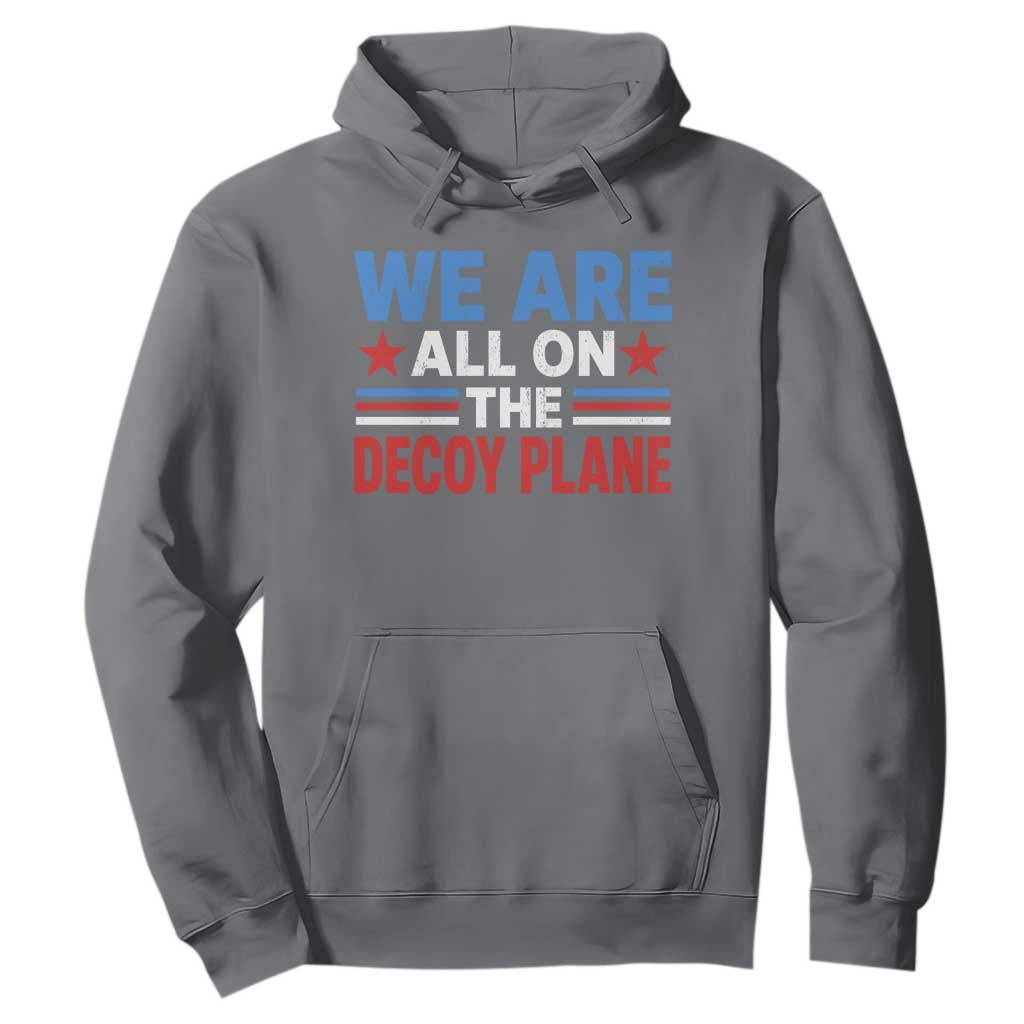 We Are All On The Decoy Plane Hoodie Plane Conspiracy Theory