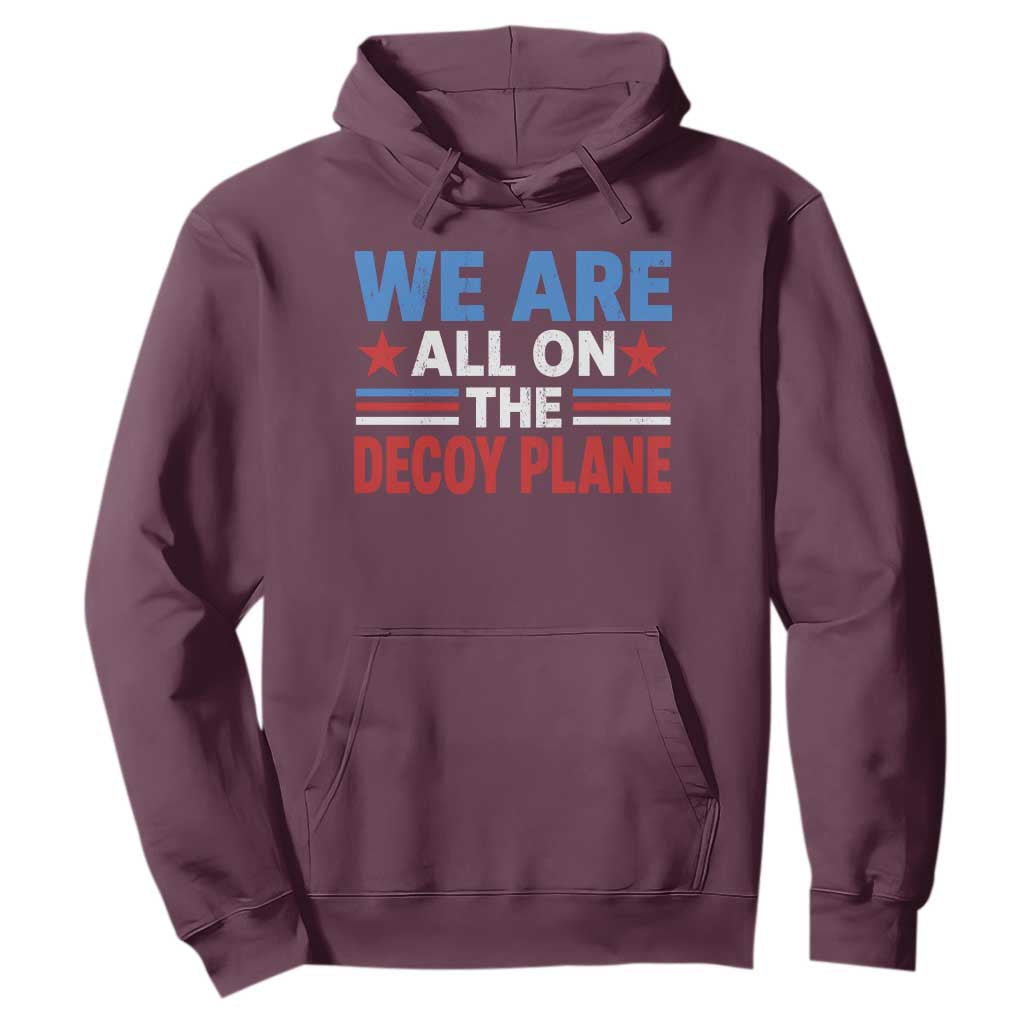 We Are All On The Decoy Plane Hoodie Plane Conspiracy Theory