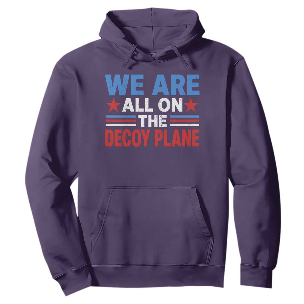 We Are All On The Decoy Plane Hoodie Plane Conspiracy Theory