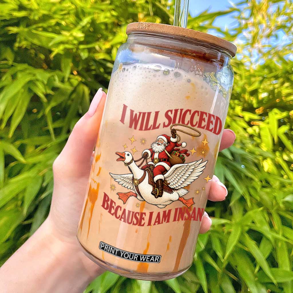 I Will Succeed Because I Am Insane Funny Christmas Glass Can Cute Santa Riding Goose