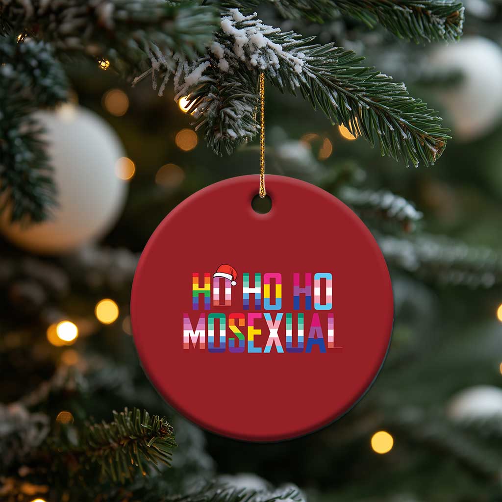 Funny LGBT Xmas Christmas Ornament Ho Ho Ho Mosexual LGBT Flag TS11 Print Your Wear