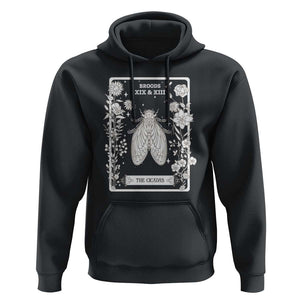 Cicada Hoodie Broods XIX And XIII The Cicadas Entomology 2024 TS11 Black Print Your Wear