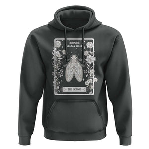 Cicada Hoodie Broods XIX And XIII The Cicadas Entomology 2024 TS11 Dark Heather Print Your Wear