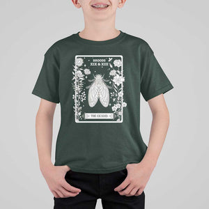 Cicada T Shirt For Kid Broods XIX And XIII The Cicadas Entomology 2024 TS11 Dark Forest Green Print Your Wear