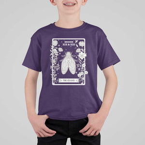 Cicada T Shirt For Kid Broods XIX And XIII The Cicadas Entomology 2024 TS11 Purple Print Your Wear