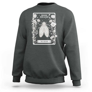 Cicada Sweatshirt Broods XIX And XIII The Cicadas Entomology 2024 TS11 Dark Heather Print Your Wear