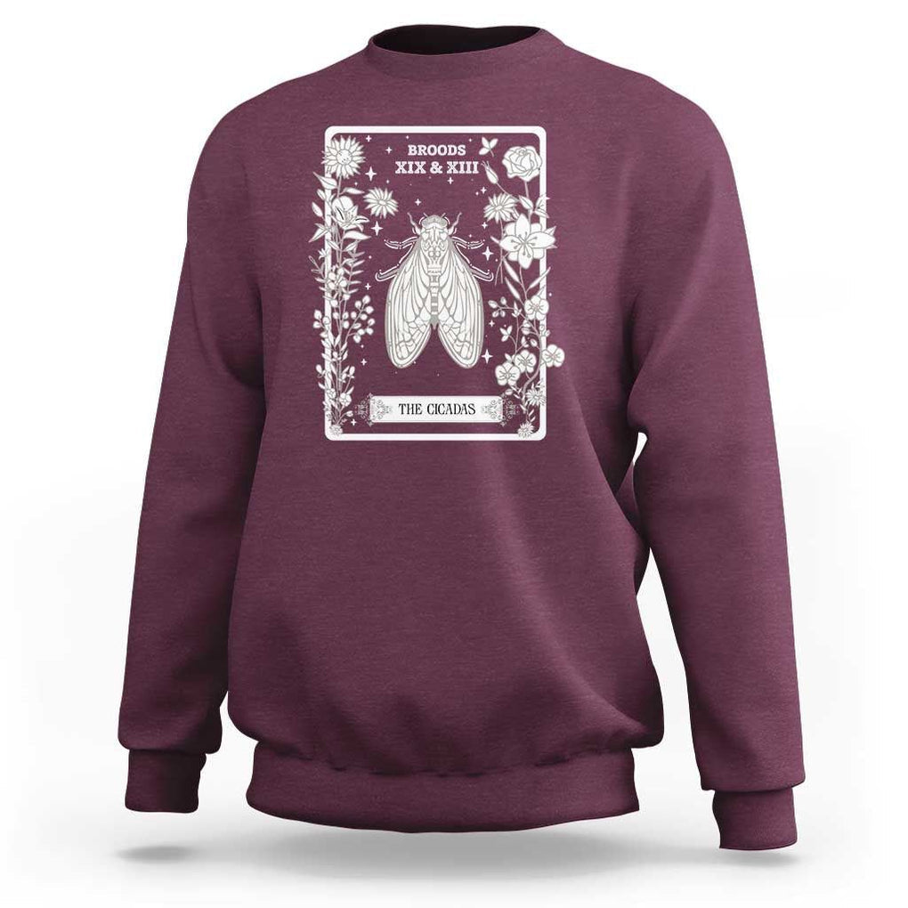 Cicada Sweatshirt Broods XIX And XIII The Cicadas Entomology 2024 TS11 Maroon Print Your Wear
