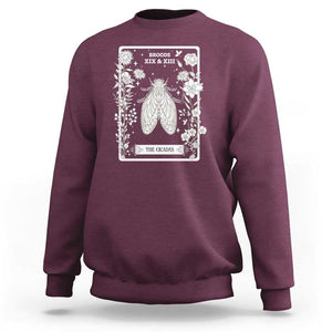 Cicada Sweatshirt Broods XIX And XIII The Cicadas Entomology 2024 TS11 Maroon Print Your Wear