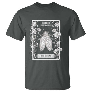 Cicada T Shirt Broods XIX And XIII The Cicadas Entomology 2024 TS11 Dark Heather Print Your Wear