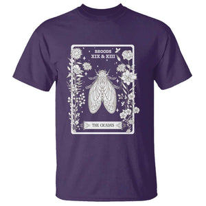 Cicada T Shirt Broods XIX And XIII The Cicadas Entomology 2024 TS11 Purple Print Your Wear