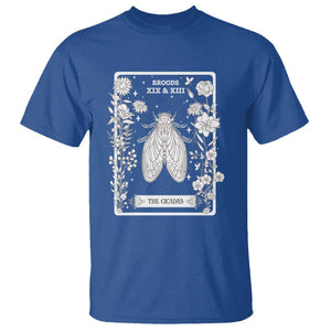 Cicada T Shirt Broods XIX And XIII The Cicadas Entomology 2024 TS11 Royal Blue Print Your Wear