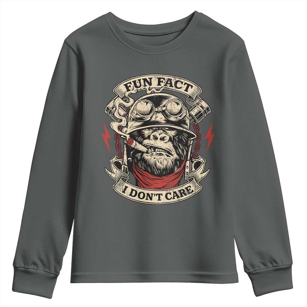 Fun Fact I Dont Care Youth Sweatshirt Funny Smoking Gorilla Sarcastic TS11 Dark Heather Print Your Wear