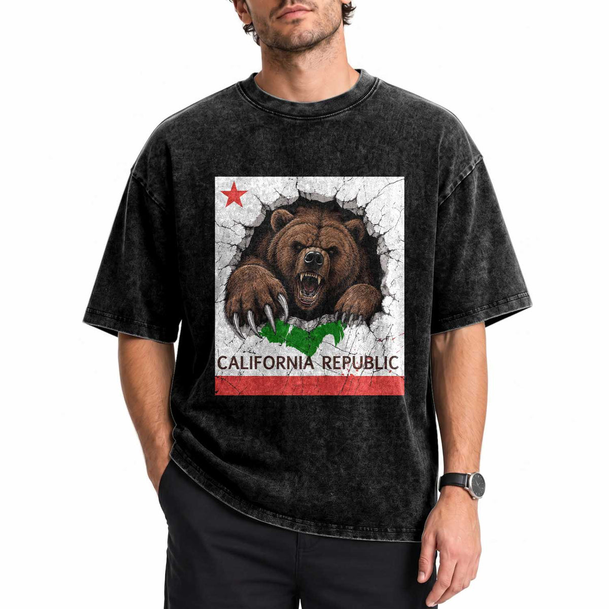 California Bear Flag Republic Washed Cotton T-Shirt CA State Distressed Design