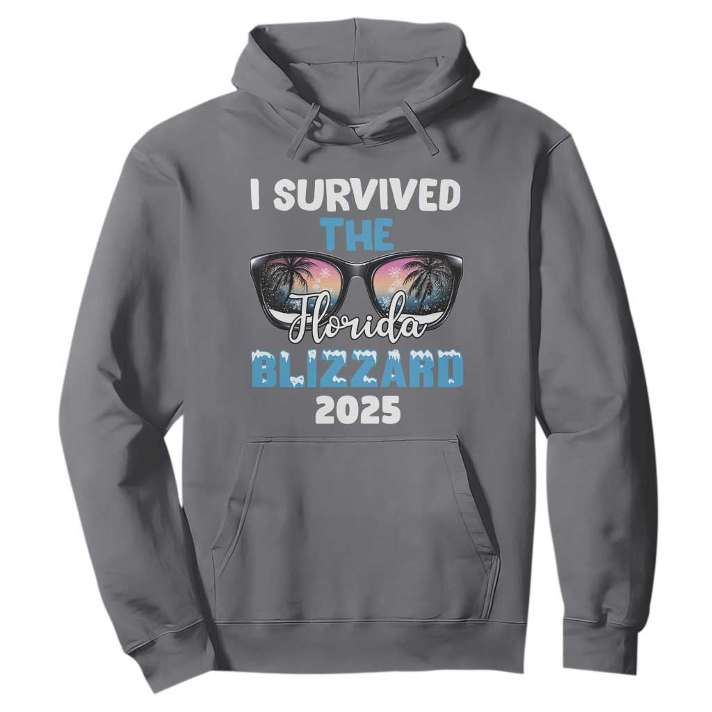 Funny I Survived The Florida Blizzarad Hoodie Snow Sunglasses TS11 Charcoal Print Your Wear