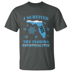 Funny I Survived The Florida Snowpocalypse 2025 T Shirt Snowflakes TS11 Dark Heather Print Your Wear