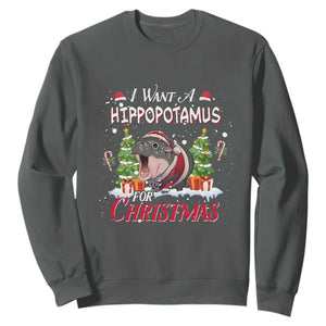 Funny Moo Deng Christmas Sweatshirt I Want A Hippopotamus For Christmas Santa Baby Pygmy TS11 Dark Heather Print Your Wear