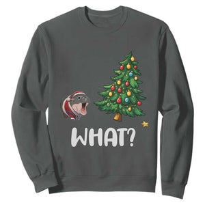 Funny Moo Deng Christmas Sweatshirt What Santa Cute Hippo Zoo Meme Baby Pygmy Xmas Tree TS11 Dark Heather Print Your Wear