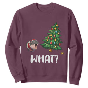 Funny Moo Deng Christmas Sweatshirt What Santa Cute Hippo Zoo Meme Baby Pygmy Xmas Tree TS11 Maroon Print Your Wear