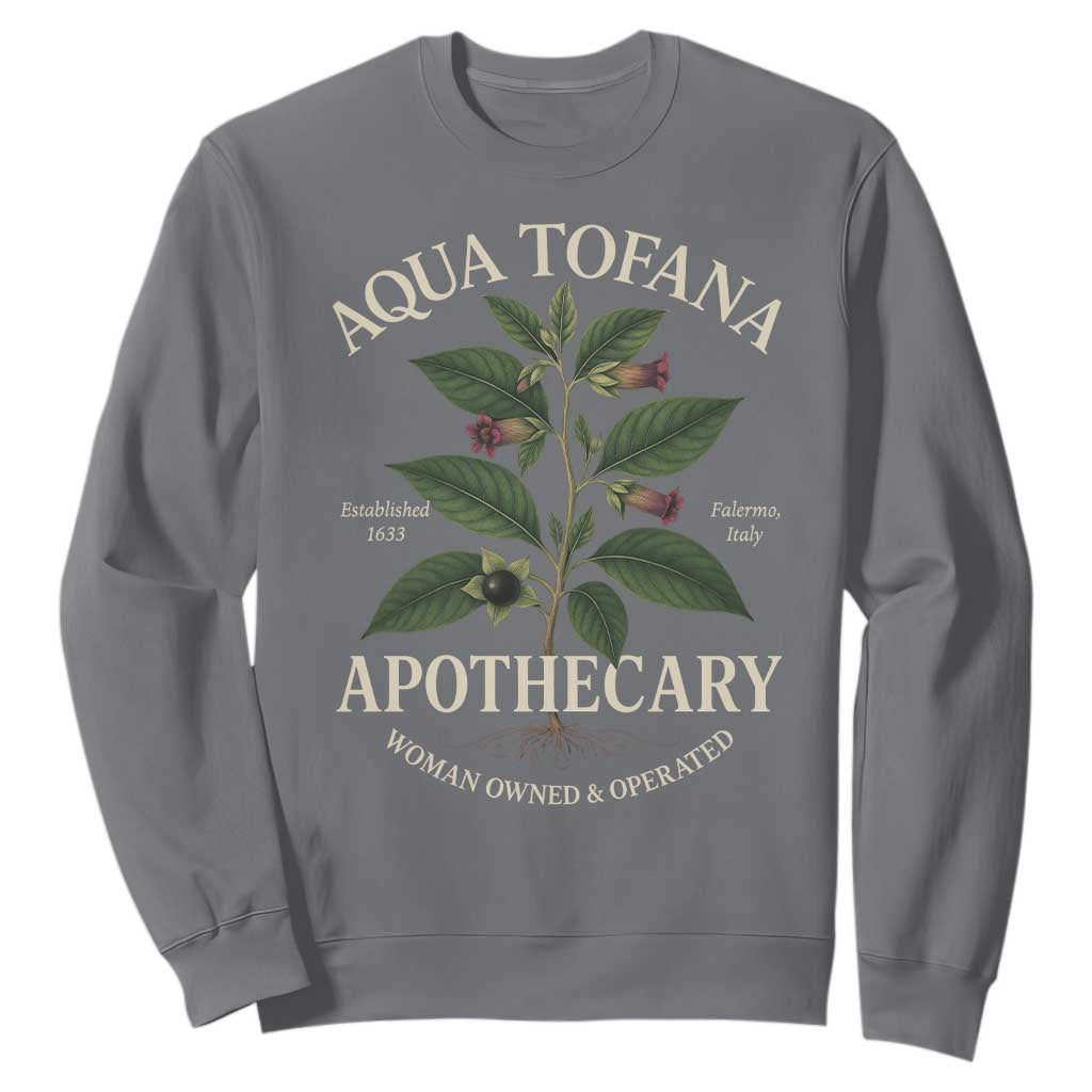 Aqua Tofana Funny Feminist Sweatshirt Woman Owned And Operated TS11 Charcoal Print Your Wear