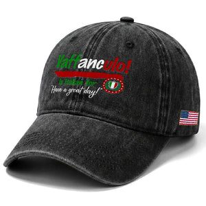 Funny Italian Saying Washed Cotton Baseball Cap Vaffanculo Is Have A Great Day TS11 Print Your Wear