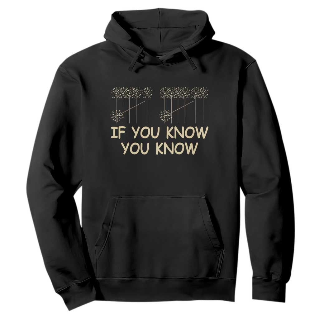 Funny 67 New Year Hoodie If You Know You Know Six Seven Meme Sparklers TS11 Black Print Your Wear