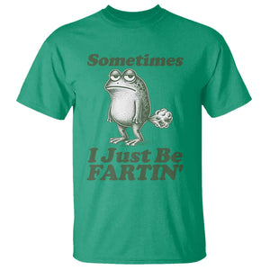 Sometimes I Just Be Fartin Funny Frog T Shirt TS11 Irish Green Print Your Wear