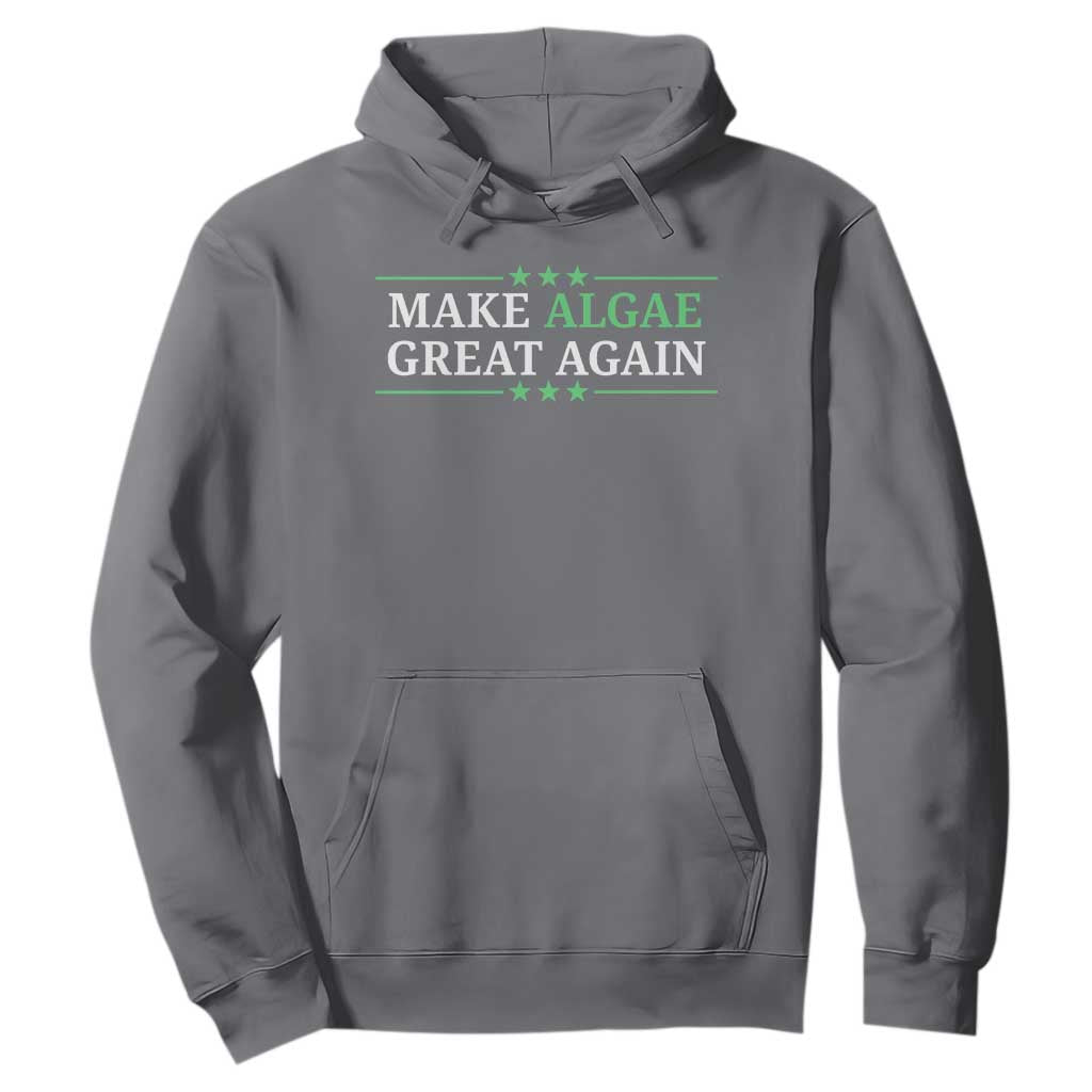 Make Algae Great Again Hoodie Funny Political Satire Lincoln Reflecting Pool TS11 Charcoal Print Your Wear