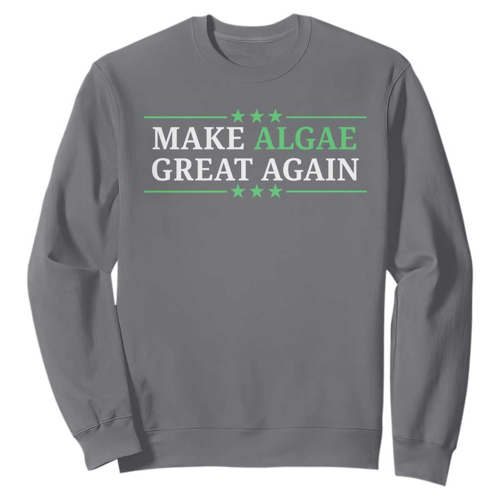 Make Algae Great Again Sweatshirt Funny Political Satire Lincoln Reflecting Pool TS11 Charcoal Print Your Wear