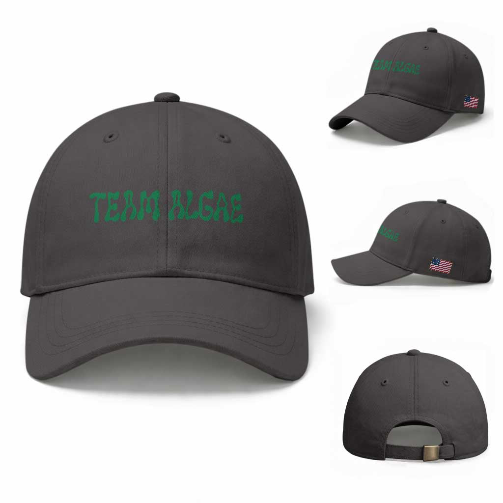 Team Algae Baseball Cap Political Satire Lincoln Reflecting Pool Midterm TS11 Baseball Cap Universal Fit Dark Gray Print Your Wear