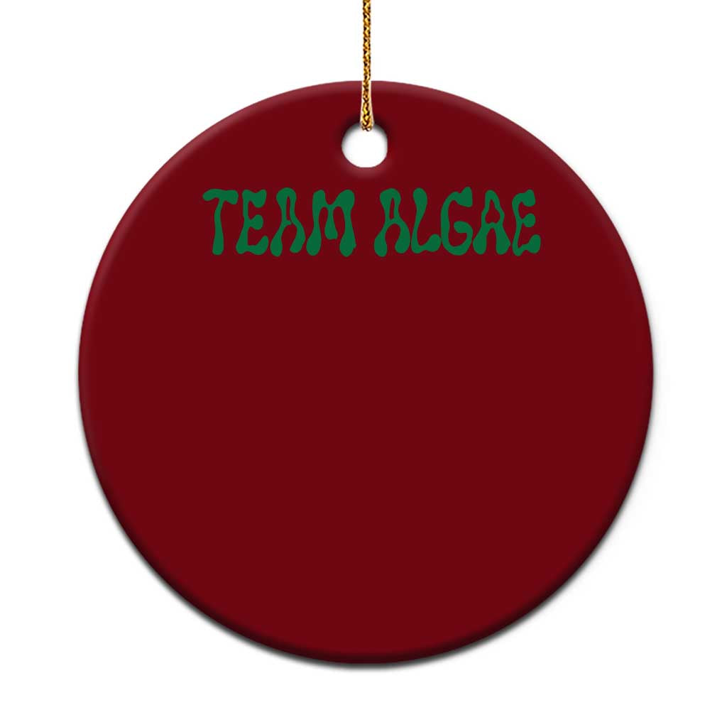 Team Algae Ceramic Ornament Political Satire Lincoln Reflecting Pool Midterm TS11 1pc Red Print Your Wear