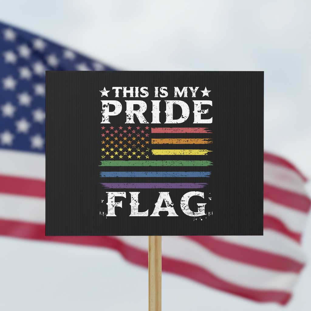 Funny LGBTQ This Is My Pride Flag Protest Sign Rainbow American Flag TS11 Horizontal 18