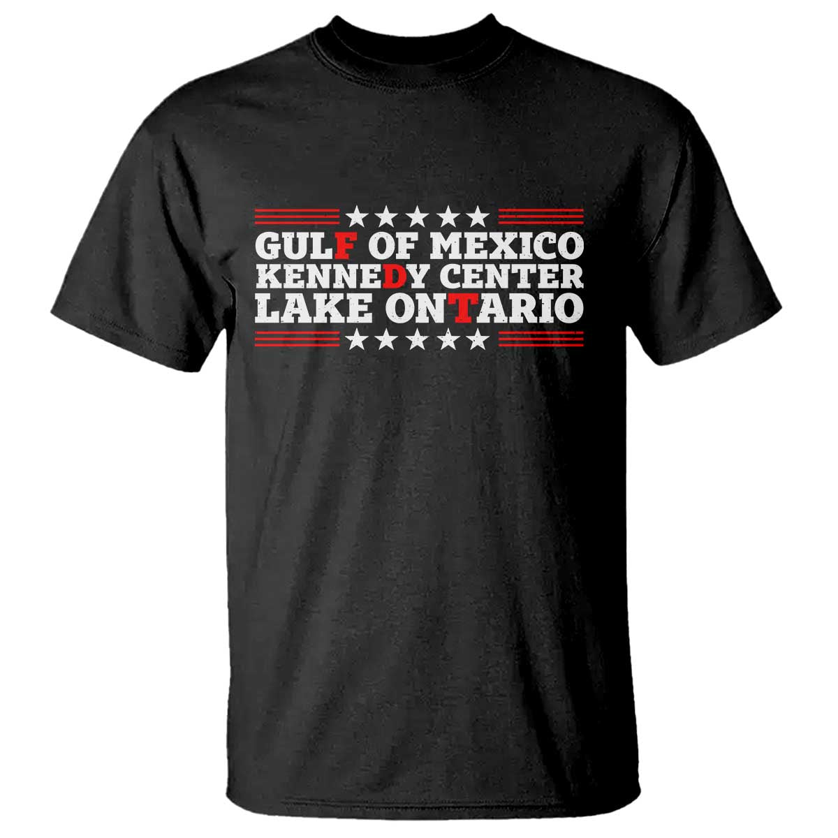 Subtle FDT Gulf of Mexico Kennedy Center Lake Ontario T Shirt Vintage Stars And Stripes