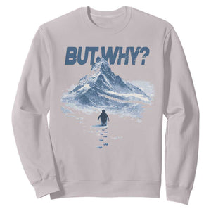 Penguin But Why Sweatshirt Funny Penguin Snowy Mountain Meme TS11 Ice Gray Print Your Wear