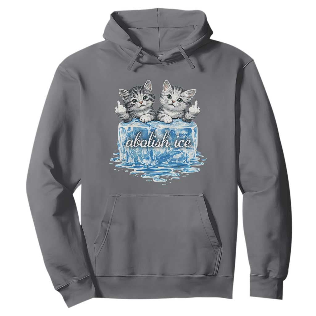 Abolish Ice Hoodie Cute Cat Melting Ice Pro Immigrant TS11 Charcoal Print Your Wear