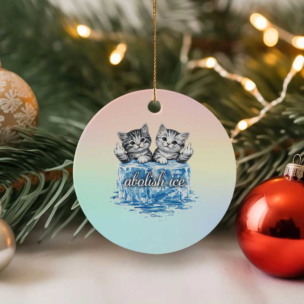 Abolish Ice Ceramic Ornament Cute Cat Melting Ice Pro Immigrant TS11 1pc Pastel Print Your Wear