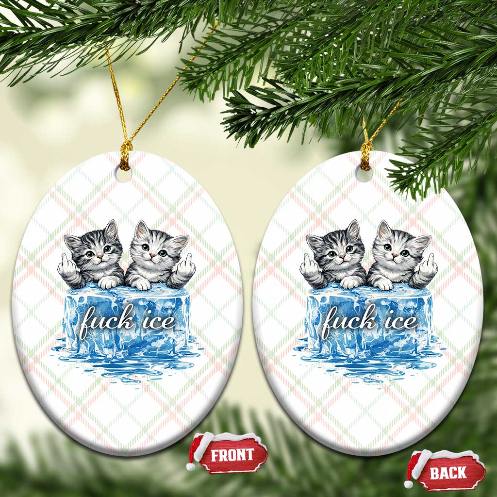 Fck Ice Ceramic Ornament Cute Cat Melting Ice Pro Immigrant TS11 Print Your Wear