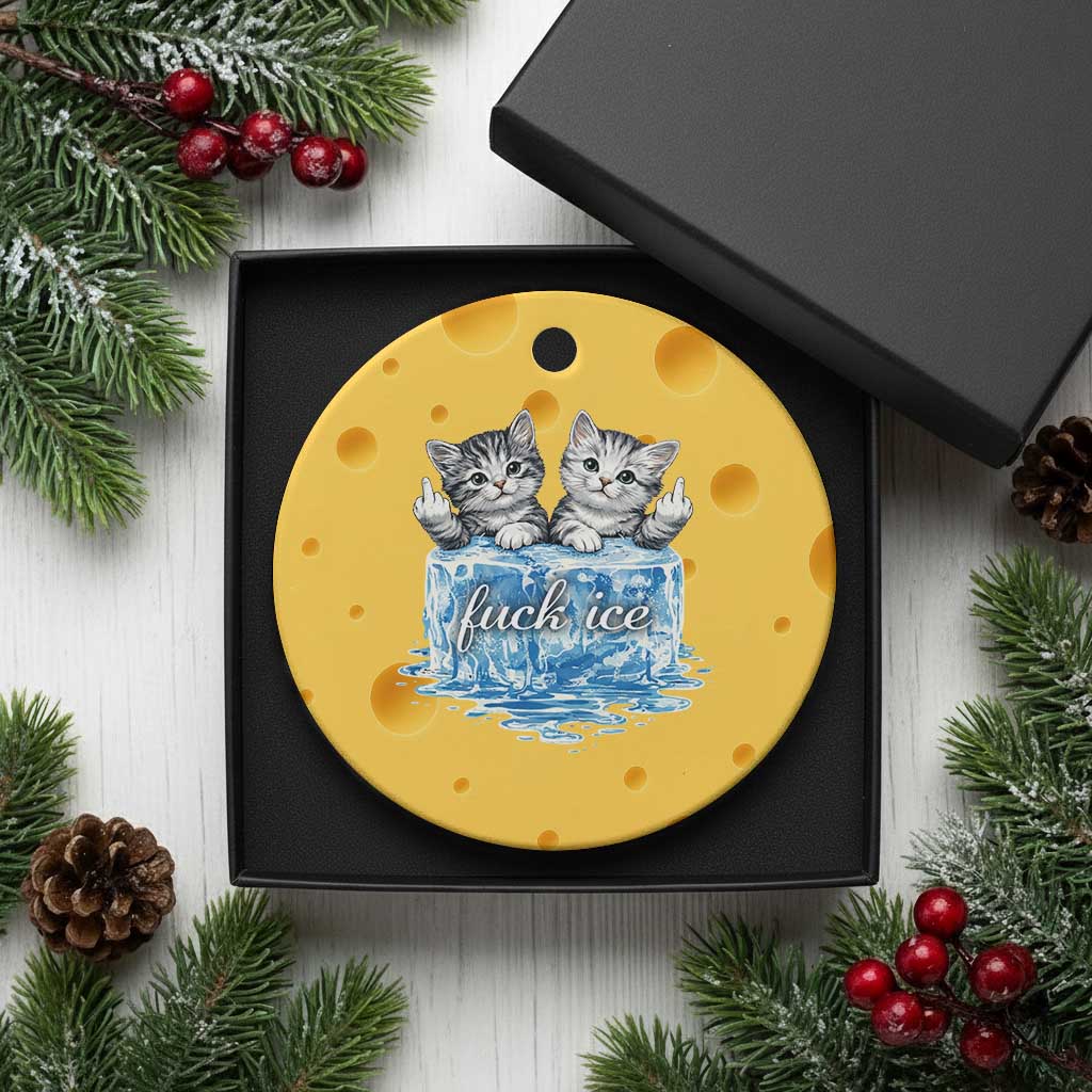 Fck Ice Ceramic Ornament Cute Cat Melting Ice Pro Immigrant TS11 1pc Yellow Cheese Print Your Wear