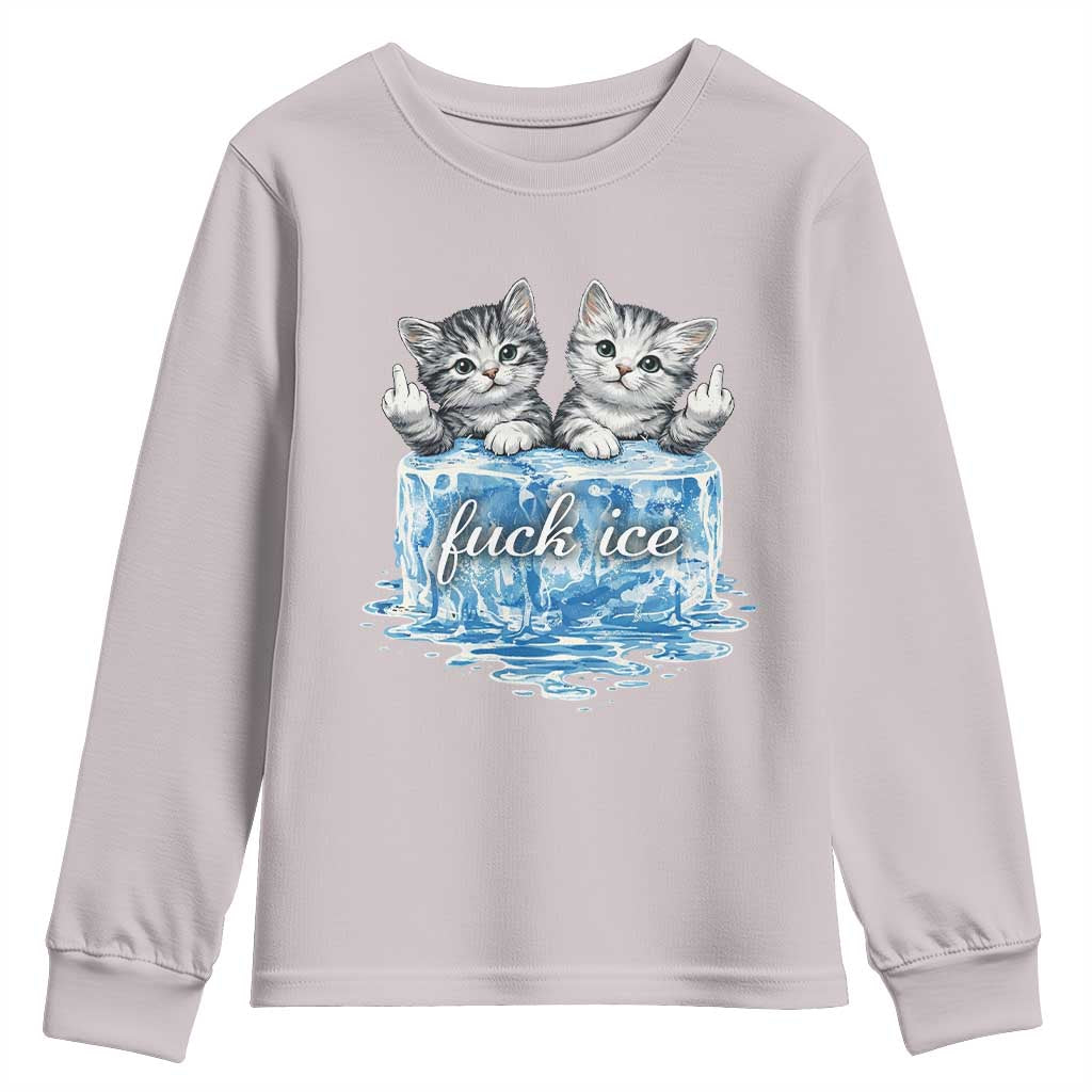 Fck Ice Youth Sweatshirt Cute Cat Melting Ice Pro Immigrant TS11 Ice Gray Print Your Wear