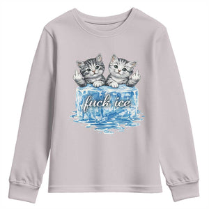 Fck Ice Youth Sweatshirt Cute Cat Melting Ice Pro Immigrant TS11 Ice Gray Print Your Wear