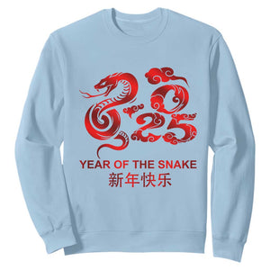 Year Of The Snake Lunar Chinese New Year 2025 Sweatshirt TS11 Light Blue Print Your Wear