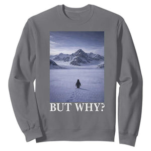 Nihilist Penguin But Why Sweatshirt Lone Penguin Walking Toward Mountain Meme TS11 Charcoal Print Your Wear