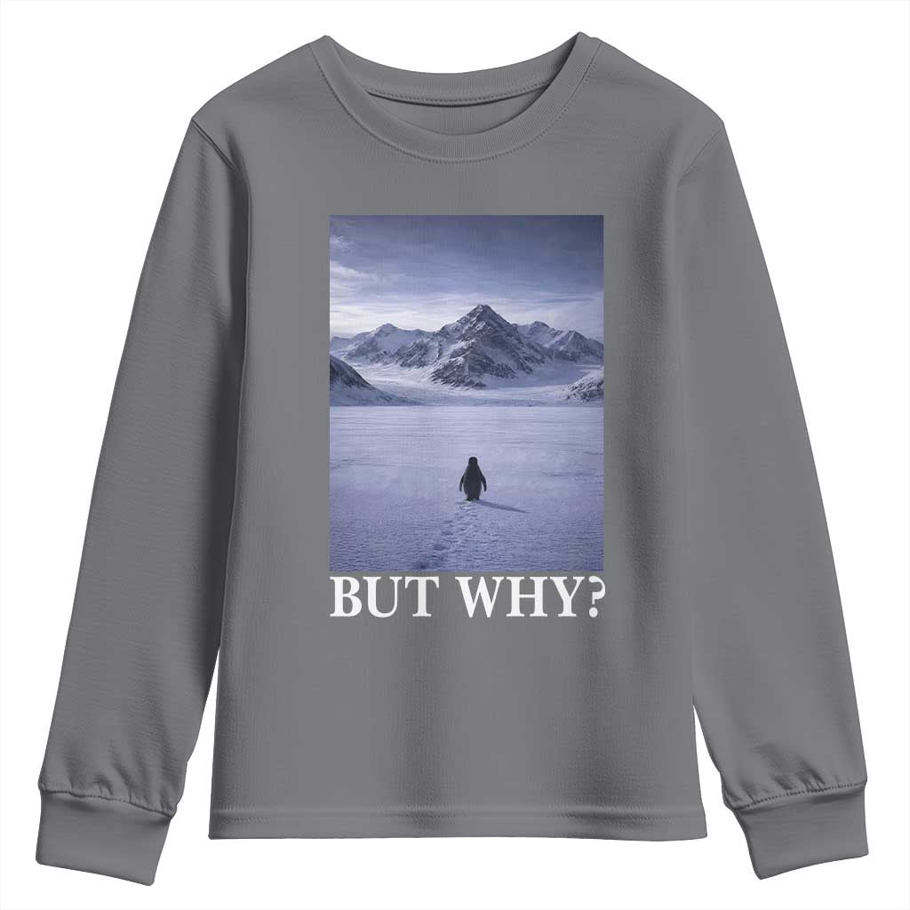 Nihilist Penguin But Why Youth Sweatshirt Lone Penguin Walking Toward Mountain Meme TS11 Charcoal Print Your Wear