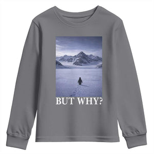 Nihilist Penguin But Why Youth Sweatshirt Lone Penguin Walking Toward Mountain Meme TS11 Charcoal Print Your Wear