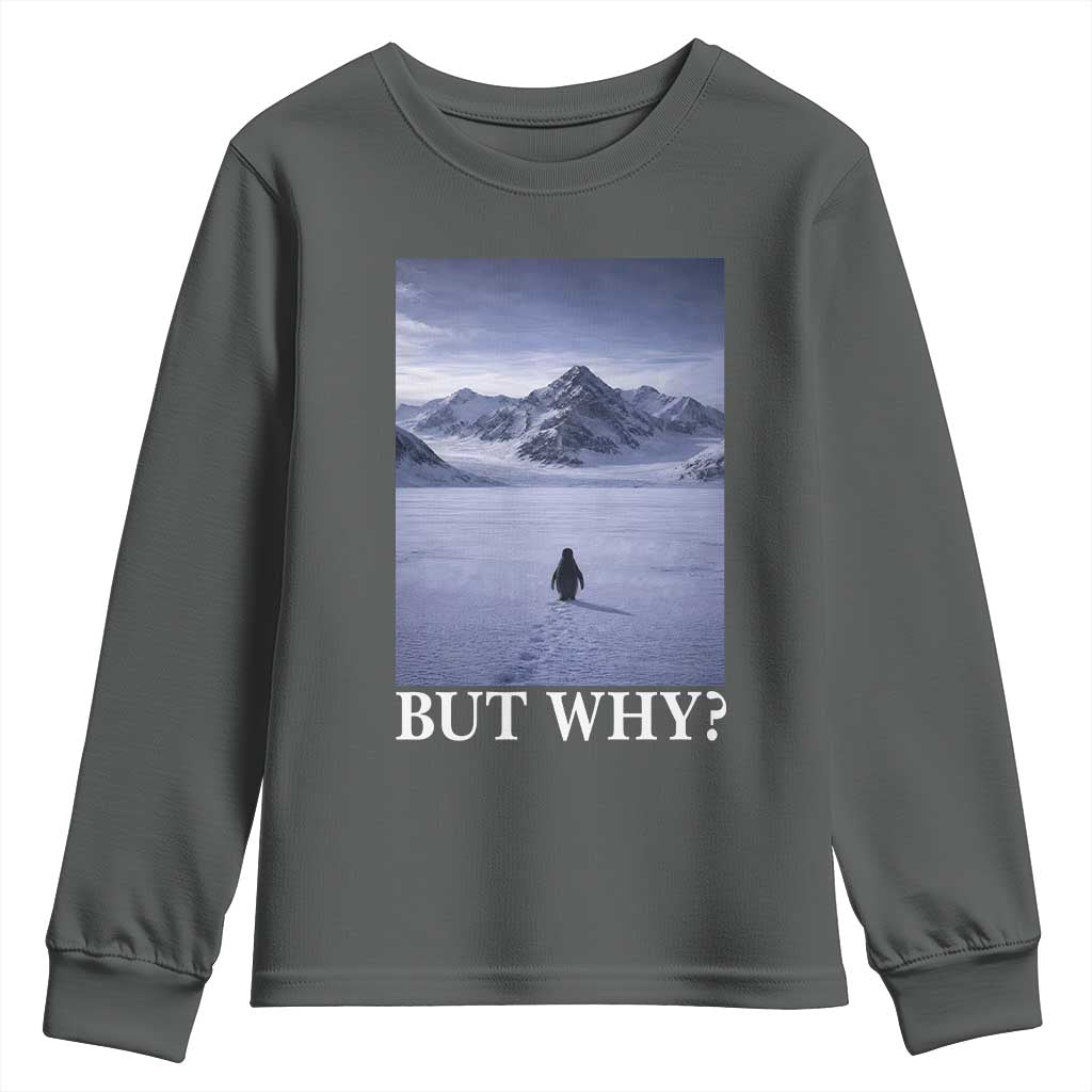 Nihilist Penguin But Why Youth Sweatshirt Lone Penguin Walking Toward Mountain Meme TS11 Dark Heather Print Your Wear