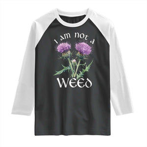 Funny Scottish Thistle I Am Not A Weed Raglan Shirt TS11 Black White Print Your Wear
