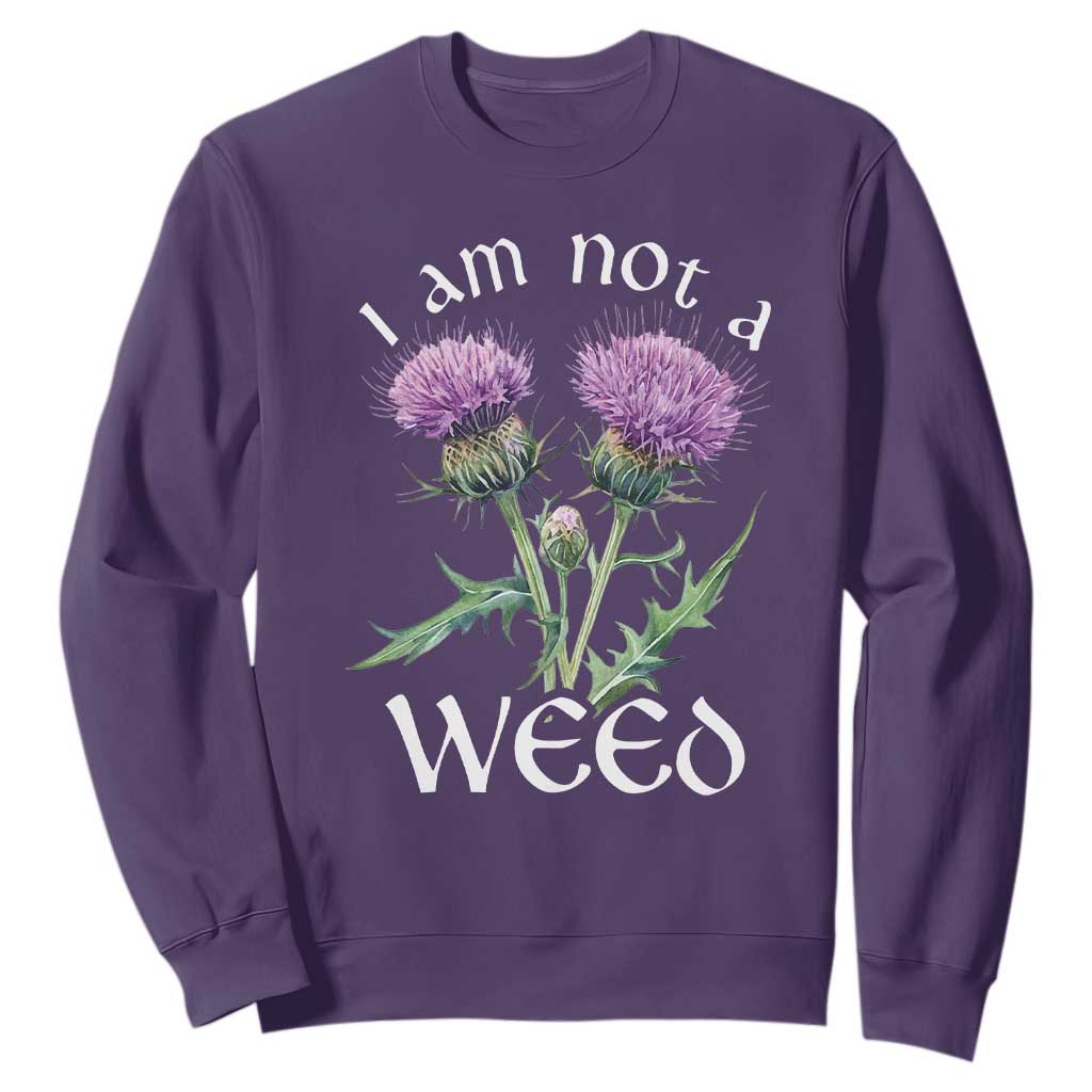 Funny Scottish Thistle I Am Not A Weed Sweatshirt TS11 Purple Print Your Wear