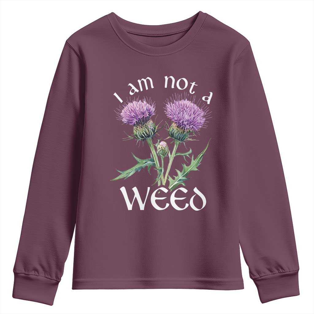 Funny Scottish Thistle I Am Not A Weed Youth Sweatshirt TS11 Maroon Print Your Wear